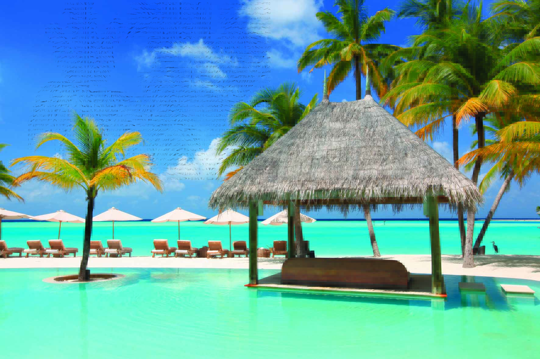 Gili Lankanfushi Resort Maldives - Pool