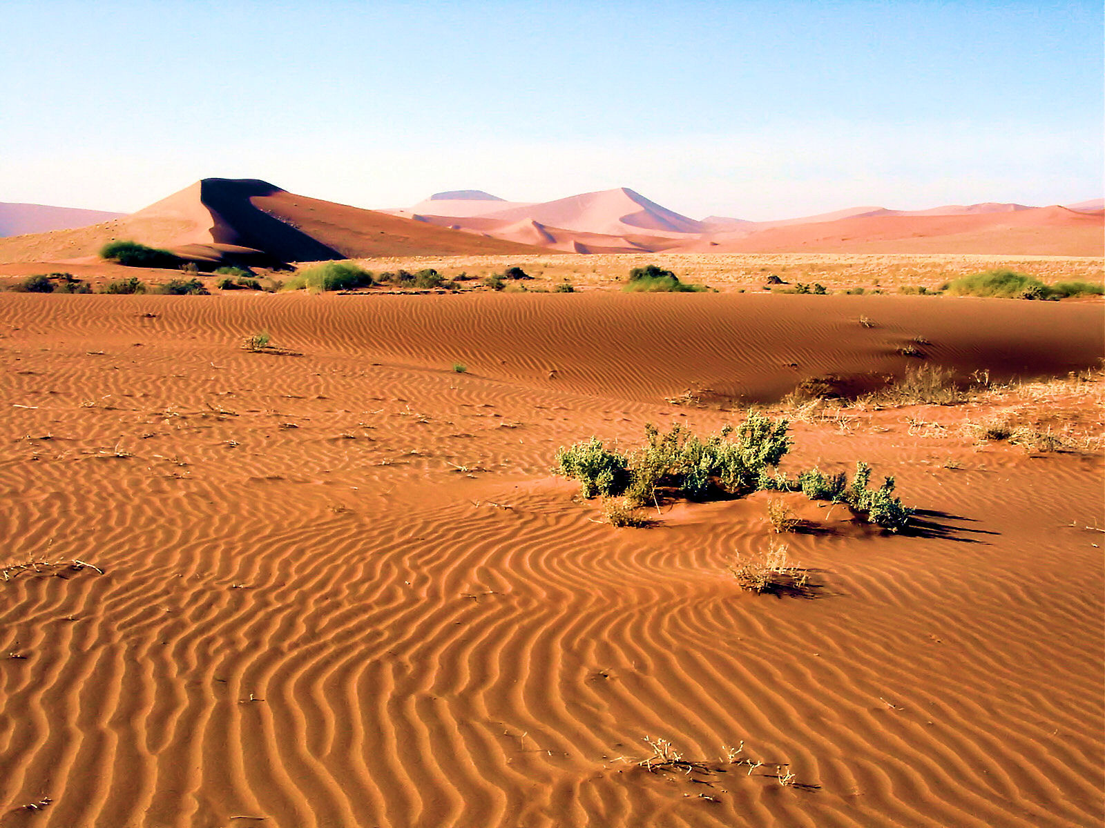 Namib-Naukluft National Park sand dunes